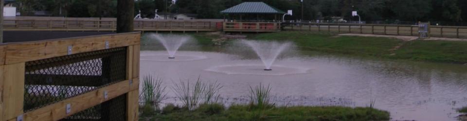 Fountain in pond in park