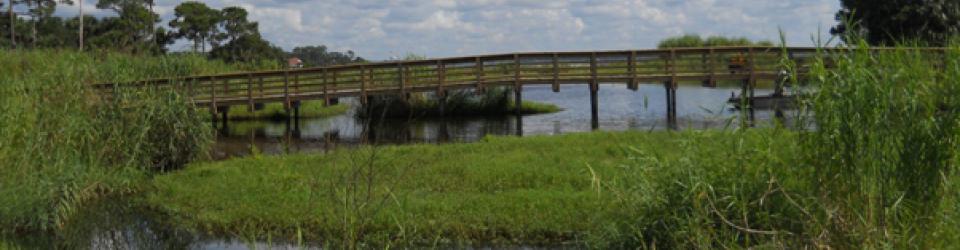 Bridge over water