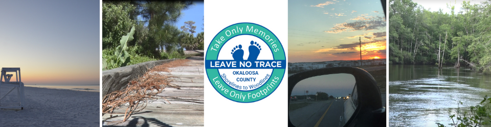 Beach, Dock, Leave no Trace logo, Sunset, river