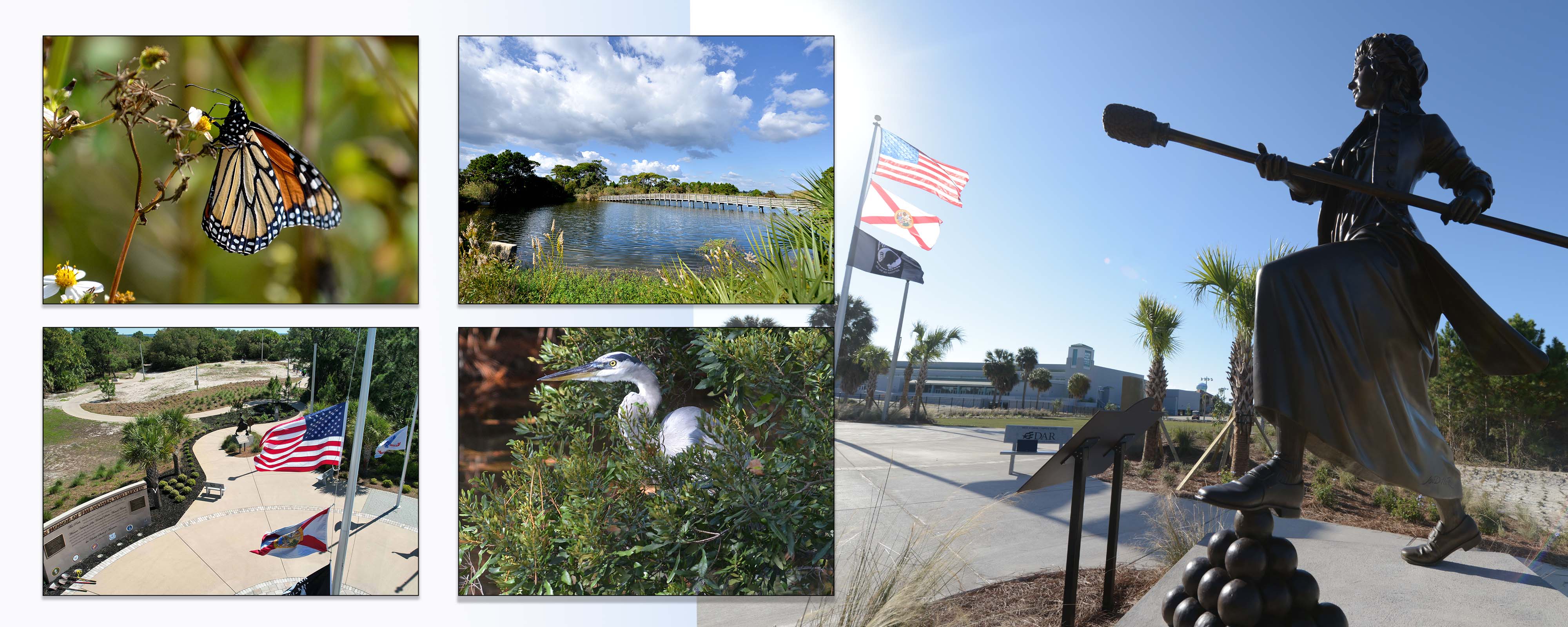 Birds, Park and Beach